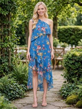 Slate & Willow
Blue Floral Maxi size 4